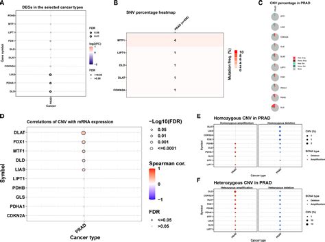 Frontiers Identification Of Cuproptosis Related Subtypes The