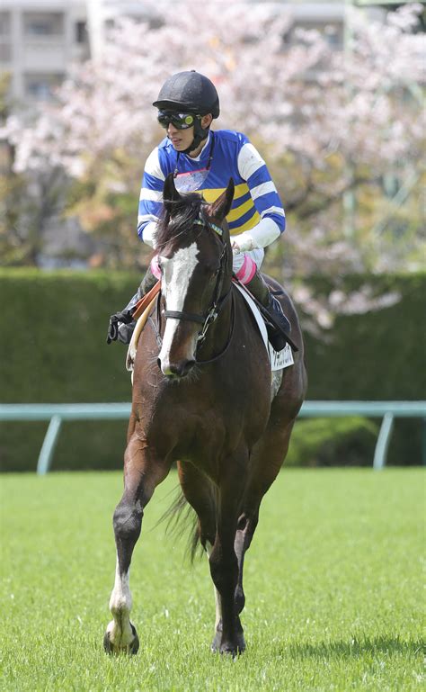 【播磨の日曜競馬コラム・京阪杯】 日刊ゲンダイ競馬