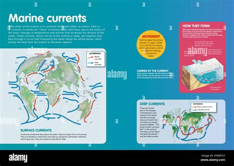 Infografía Sobre Los Tipos De Corrientes Marinas Superficiales Y