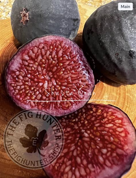 Forage Colorado - I haven't done a food post in a little while, so here