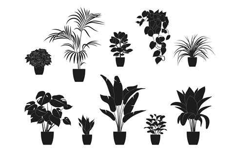 Collection Silhouettes Of Houseplants In Black Color Potted Plants