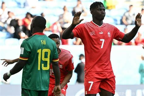 スイスがエンボロ弾で白星発進 カメルーンはw杯8連敗 写真17枚 国際ニュース：afpbb News