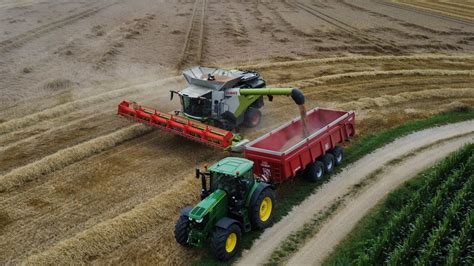 Moisson de blé avec une Claas Lexion 8600 sa barre de coupe de 9m30