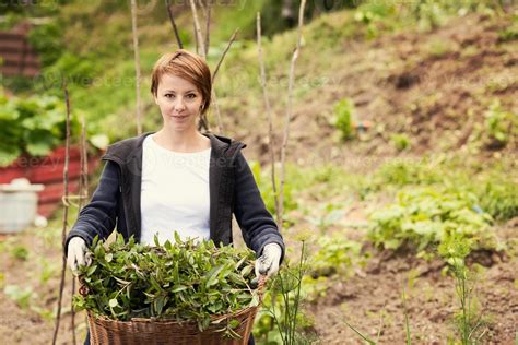 woman gardening view 10962493 Stock Photo at Vecteezy