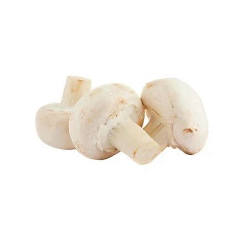 Fresh Champignon Mushrooms Packaging Plastic Bag Or Polythene At Rs