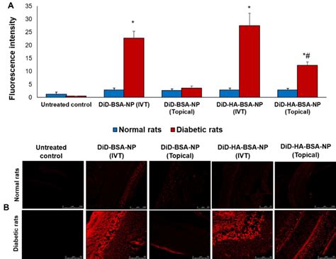 Retinal Biodistribution By Confocal Laser Microscopy Five Hours Post Download Scientific