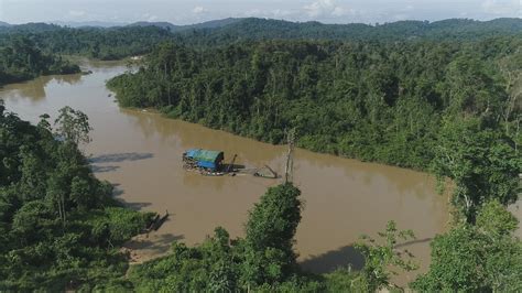 Corpo De Criança Morta Durante Ataque A Tiros Na Terra Indígena