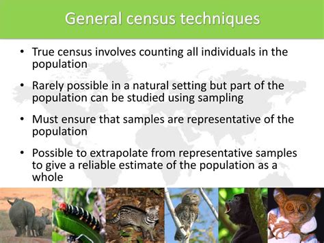 PPT WALLACE RESOURCE LIBRARY Lecture 04 Terrestrial Survey