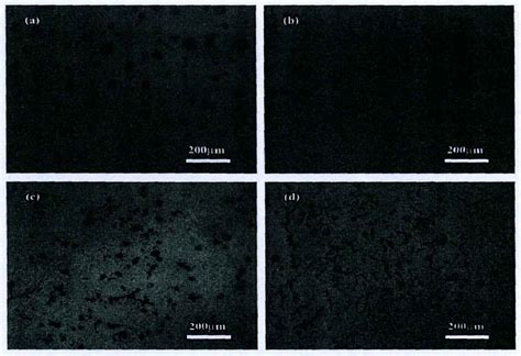 Effect Of Nodulizer Addition On Graphite Morphology Of Nodular Cast Iron Zhy Casting