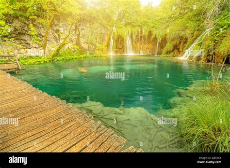 Sunshine On Underwater Trees Of The Galovacki Buk Waterfall Of Plitvice