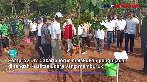 Kurangi Polusi Udara Pemprov Dki Jakarta Kebut Penghijauan Video