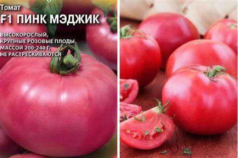 Томат Пинк Мэджик: характеристика и описание индетерминантного сорта с фото