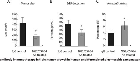 Figure 3 From Effects Of Chondroitin Sulfate Proteoglycan 4 NG2 CSPG4