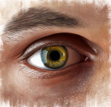 Realistic Eye Painting by adamrobertsdesigns on DeviantArt