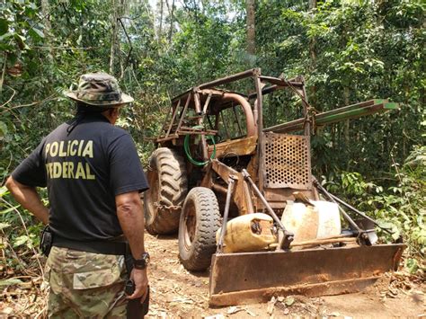 PF combate crimes ambientais em terras indígenas de Rondônia Polícia