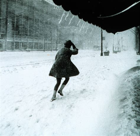 File:Miniskirts in snow storm.jpg - Wikipedia