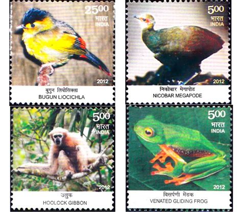 Endemic Species Of Indian Biodiversity Hot Spots Miniature