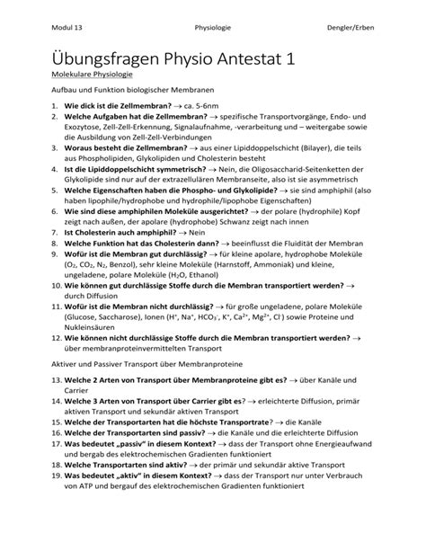 Bungsfragen Neurophysiologi