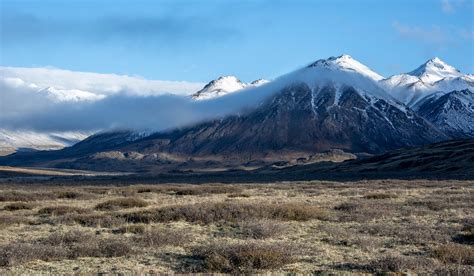 Summer Solstice In The Arctic Refuge Alaska Wilderness League
