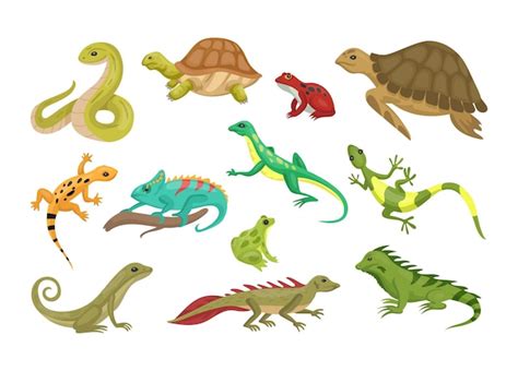 Imágenes de Reptiles Dibujos - Descarga gratuita en Freepik