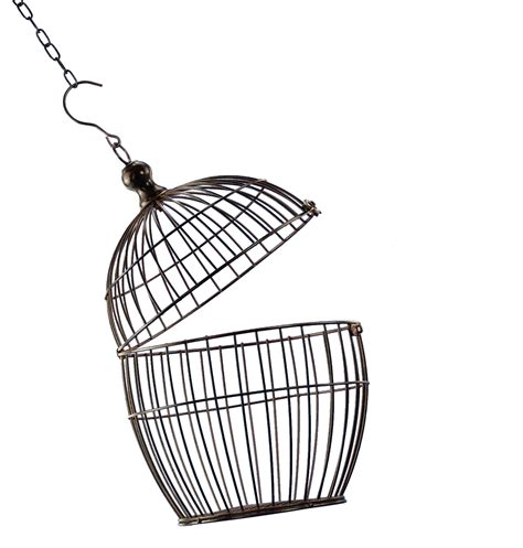 Cage Bird Png Transparent Image Download Size 1488x1563px