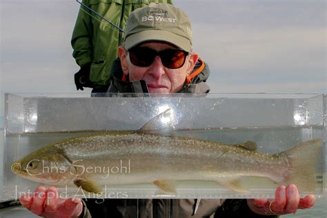 Seattle Fishing Guides - Dolly Varden/Bull Trout Fishing Charters