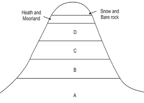 Use the diagram below of a mountain vegetation zone of a mountain in ...