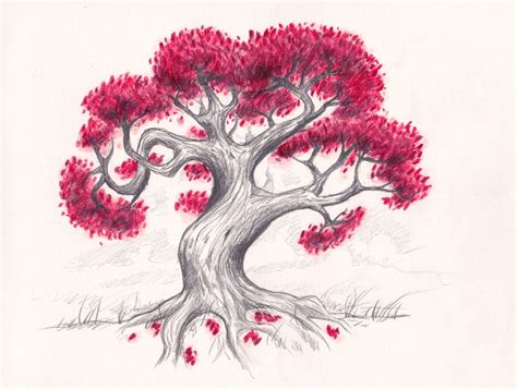 Baum Zeichnen Übung Mit Schritt Für Schritt Anleitung And Video