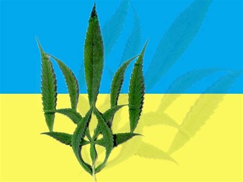Главная