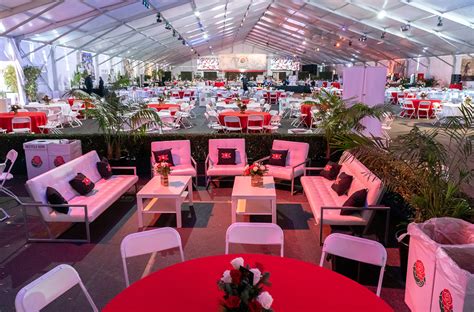 40 Meter A1 Party Rental