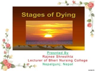 Stages of dying | PPT