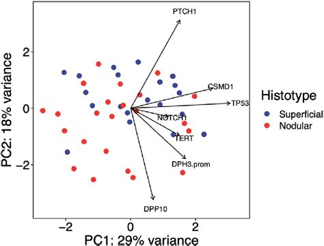 Two Dimensional Principal Component Analysis Pca Of Genetic