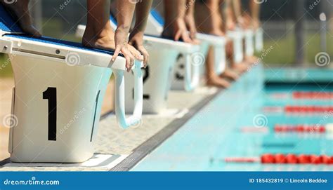 Swim Race Start On The Blocks At The Local Swimming Pool Stock Image