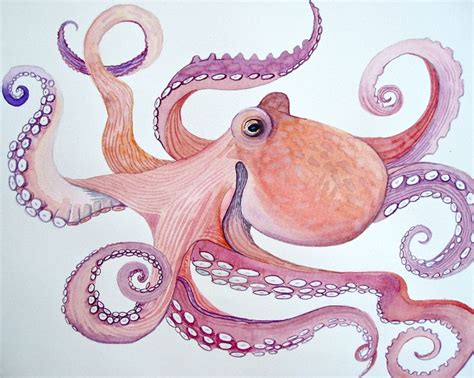 D Octopus Murals Octopus Drawing Octopus Art Octopus Painting