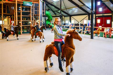 Speel En IJsboerderij De Drentse Koe Drenthe