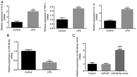 Lncrna Gmds‑as1 Upregulates Il‑6 Tnf‑α And Il‑1β And Induces