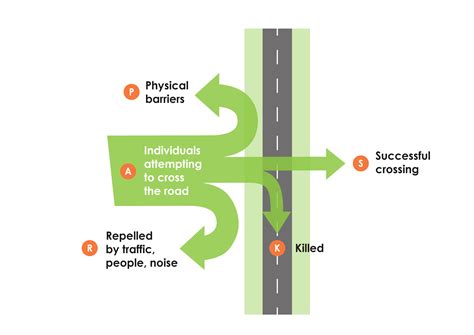 Biodiversity Infrastructure Handbook 1 3 7 Barrier Effects