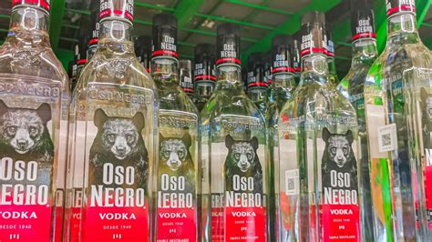 15 Mexican Liquors Besides Tequila And Mezcal Mybartender