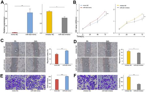 The Oncogenic Mir Promotes Triple Negative Breast Cancer