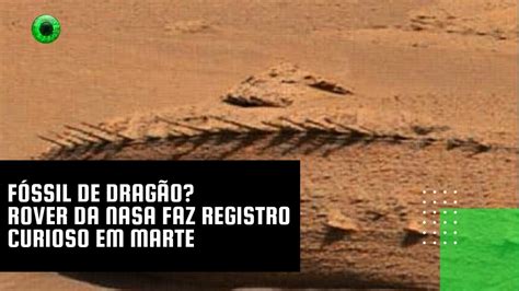 Fóssil De Dragão Rover Da Nasa Faz Registro Curioso Em Marte Youtube