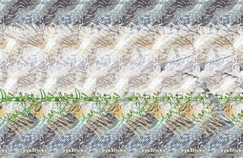 Pin By Lisa Jo On Magic Eye Illusions Stereograms 3Ds In 2024