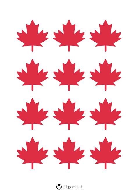 Free Printable Maple Leaf Templates Lil Tigers