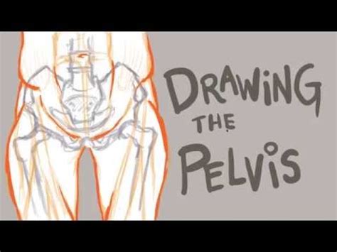 Pelvis Drawing Easy This Is Another Basic Drawing We Will Draw With