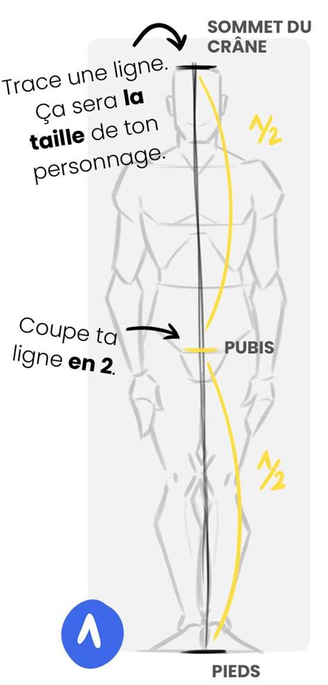 The Diagram Shows How To Draw An Object With Different Lines And Shapes