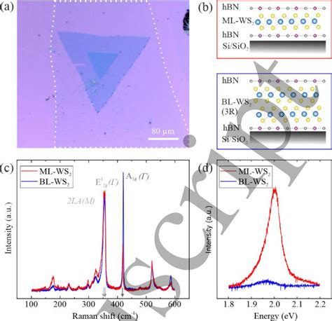 A Optical Micrograph Of A Hbn Encapsulated Ws Flake Grown By Cvd At