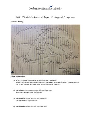 Bio L Module Four Cell Respiration In Germinating Peas Lab Report