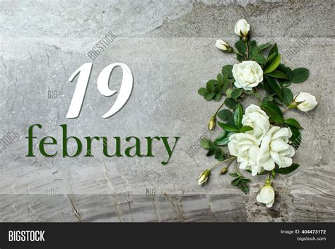 February 19th. Day 19 Image & Photo (Free Trial) | Bigstock