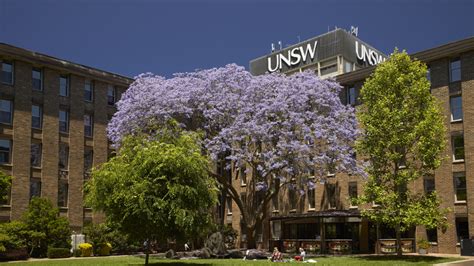 Goal 13 Equity Diversity And Inclusion Unsw Sydney