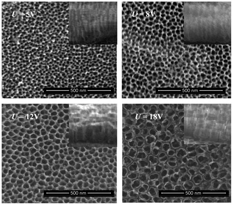 Nanomaterials Free Full Text The Bioactivity And Photocatalytic