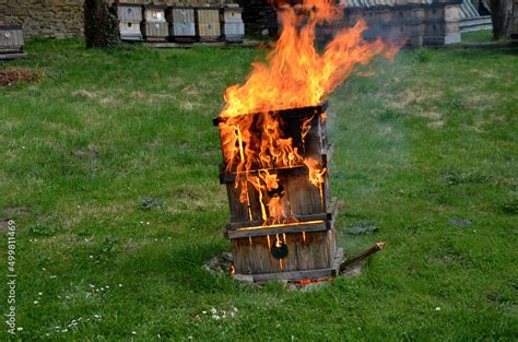 During The Plague Epidemic At Apiary It Is Necessary To Ensure